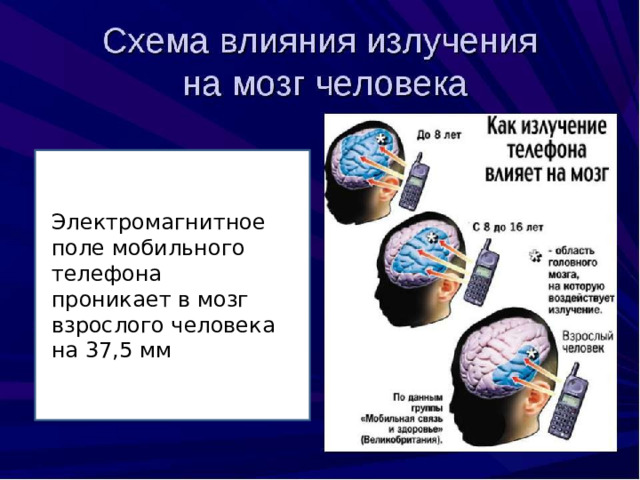 Электромагнитное поле мобильного телефона проникает в мозг взрослого человека на 37,5 мм 