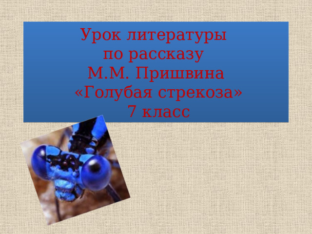 М м пришвин рассказ голубая стрекоза. М.М. Пришвина. Голубая Стрекоза. Пришвин рассказ голубая Стрекоза.