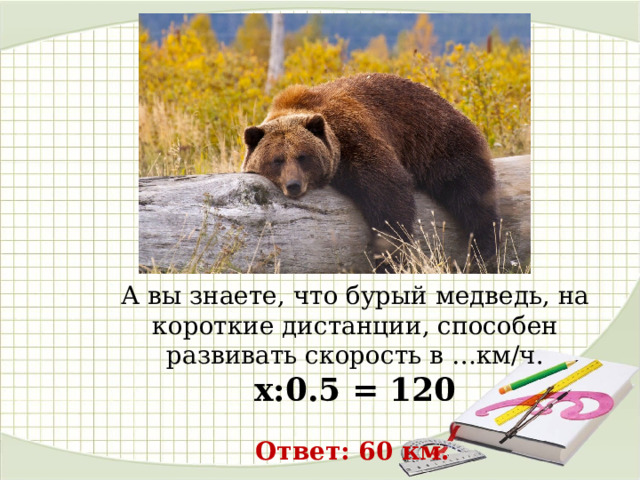 А вы знаете, что бурый медведь, на короткие дистанции, способен развивать скорость в …км/ч. х:0.5 = 120 Ответ: 60 км. 