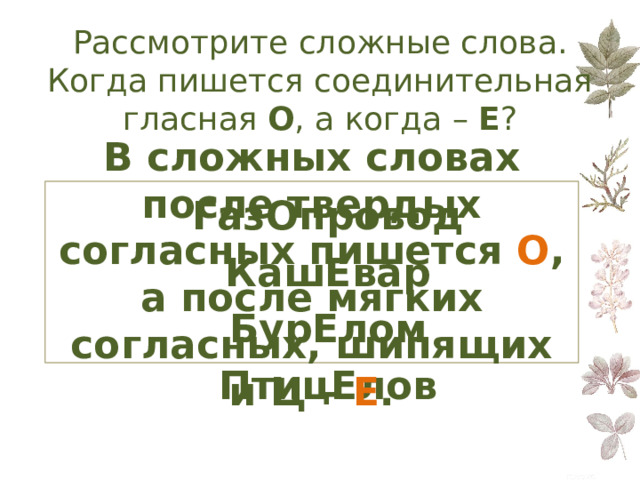 Сложные слова с соединительными гласными о е