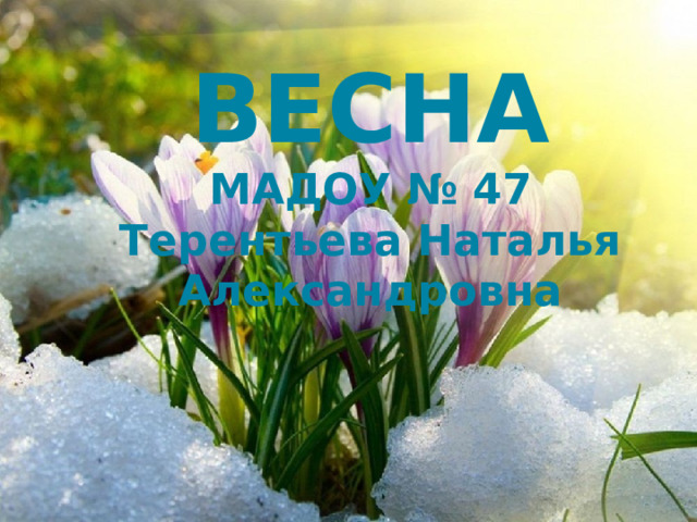 ВЕСНА  МАДОУ № 47  Терентьева Наталья Александровна     