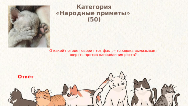 Категория  «Народные приметы» (50) О какой погоде говорит тот факт, что кошка вылизывает шерсть против направления роста? Ответ 
