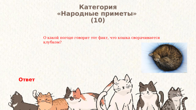 Категория  «Народные приметы» (10) О какой погоде говорит тот факт, что кошка сворачивается клубком? Ответ 