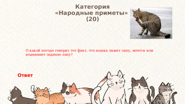 Категория  «Народные приметы» (20) О какой погоде говорит тот факт, что кошка лижет лапу, моется или поднимает заднюю лапу? Ответ 