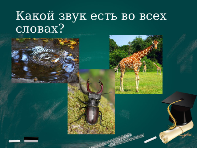 Какой звук есть во всех словах? 