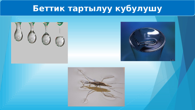 Беттик тартылуу кубулушу 