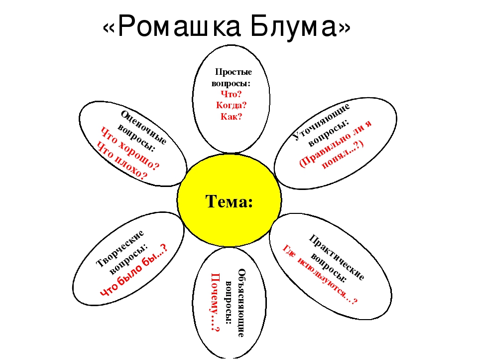 План по тексту ромашка