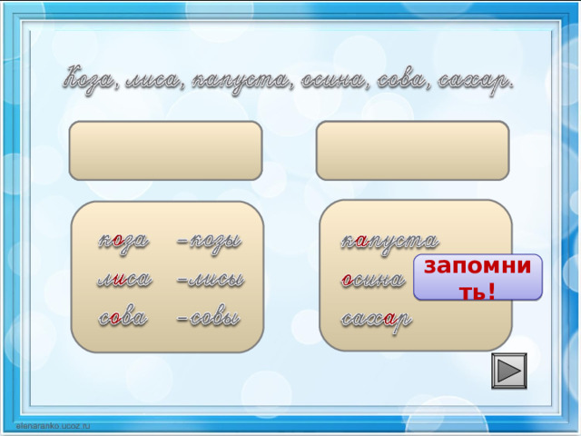 Начальная форма в слове первую