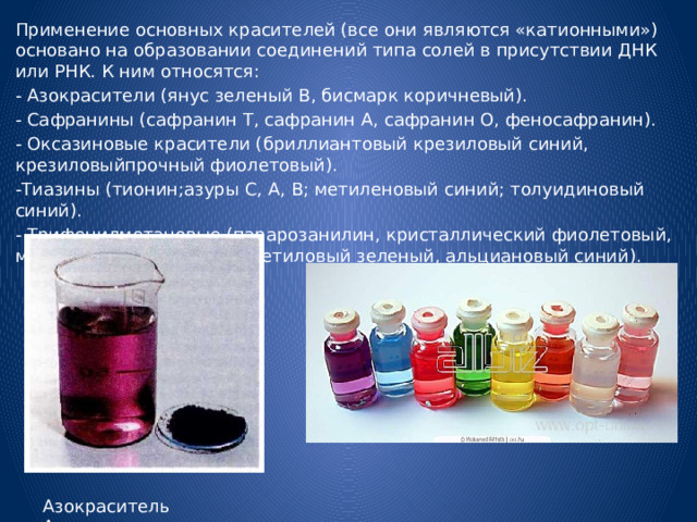 Применение основных красителей (все они являются «катионными») основано на образовании соединений типа солей в присутствии ДНК или РНК. К ним относятся: - Азокрасители (янус зеленый В, бисмарк коричневый). - Сафранины (сафранин Т, сафранин А, сафранин О, феносафранин). - Оксазиновые красители (бриллиантовый крезиловый синий, крезиловыйпрочный фиолетовый). -Тиазины (тионин;азуры С, А, В; метиленовый синий; толуидиновый синий). - Трифенилметановые (парарозанилин, кристаллический фиолетовый, метиловый фиолетовый, метиловый зеленый, альциановый синий). Азокраситель Ализарин 