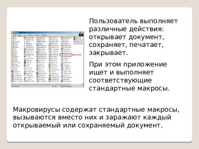 По предложенному описанию определите тип вируса заражают файлы документов word и excel