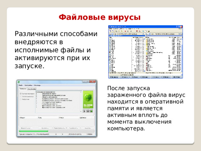 Файловые вирусы внедряются в программы и данные и активизируются в процессе копирования