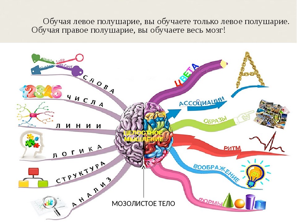 Интеллектуальная карта для дошкольников