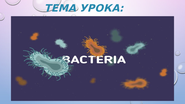 Тема урока: 