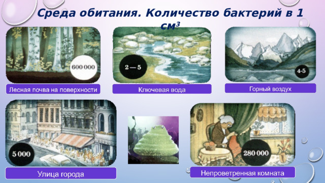 Среда обитания. Количество бактерий в 1 см 3 