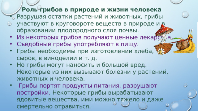 Роль грибов в природе и жизни человека Разрушая остатки растений и животных, грибы участвуют в круговороте веществ в природе и в образовании плодородного слоя почвы. Из некоторых грибов получают ценные лекарства. Съедобные грибы употребляют в пищу. Грибы необходимы при изготовлении хлеба, сыров, в виноделии и т. д. Но грибы могут наносить и большой вред. Некоторые из них вызывают болезни у растений, животных и человека.  Грибы портят продукты питания, разрушают постройки. Некоторые грибы вырабатывают ядовитые вещества, ими можно тяжело и даже смертельно отравиться. 