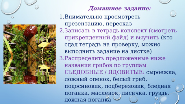 Домашнее задание: Внимательно просмотреть презентацию, пересказ Записать в тетрадь конспект (смотреть прикрепленный файл) и выучить (кто сдал тетрадь на проверку, можно выполнить задание на листке) Распределить предложенные ниже названия грибов по группам СЬЕДОБНЫЕ / ЯДОВИТЫЕ: сыроежка, ложный опенок, белый гриб, подосиновик, подберезовик, бледная поганка, масленок, лисичка, груздь, ложная поганка 