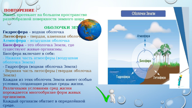 Биосфера оболочка жизни. Современный мир организмов Биосфера. Загрязнение воздушной оболочки земли. Tropospheric Shell of the Biosphere.