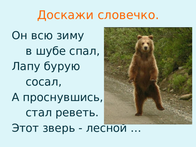 Доскажи словечко. Он всю зиму  в шубе спал, Лапу бурую  сосал, А проснувшись,  стал реветь. Этот зверь - лесной …  