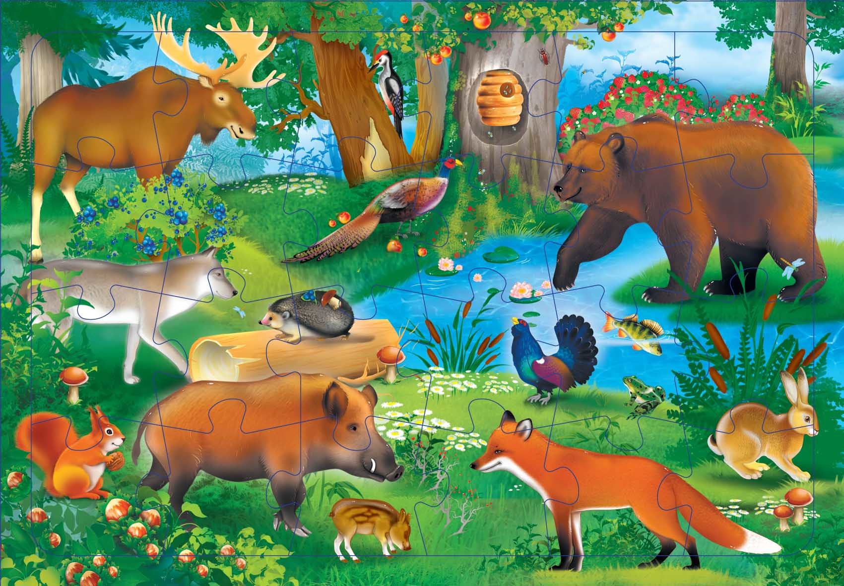 Экология диких животных. Жители леса. Лесные обитатели. Животные леса для детей. Звери леса для детей.