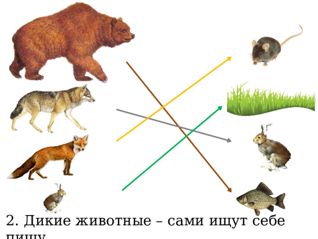 Презентация дикие животные 2 класс