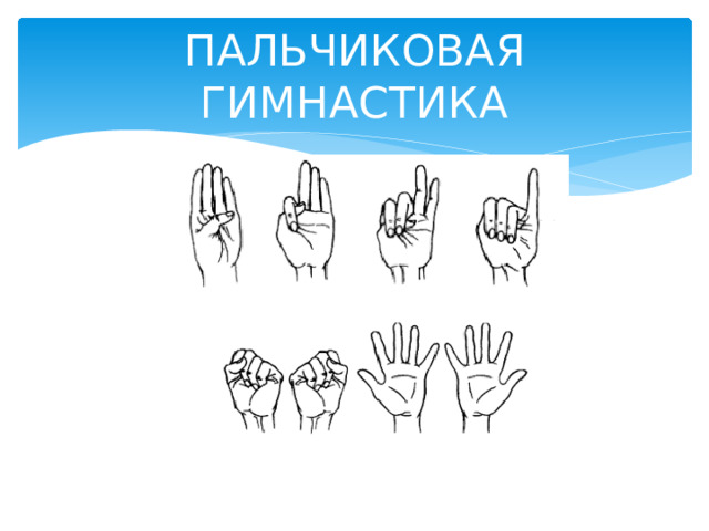 ПАЛЬЧИКОВАЯ ГИМНАСТИКА 