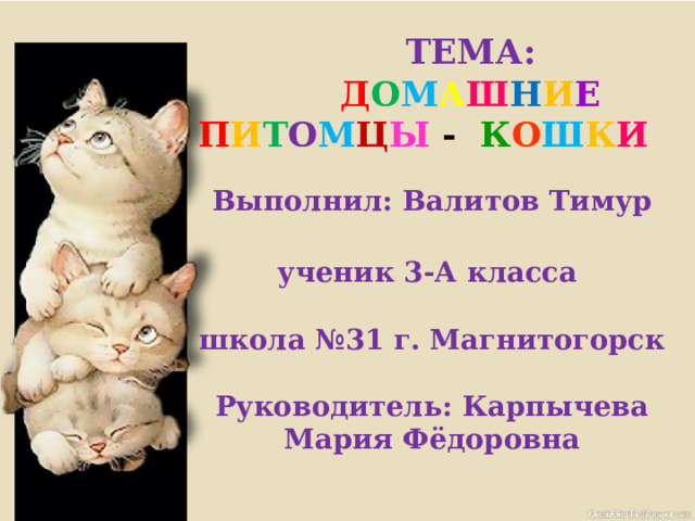  ТЕМА:    Д О М А Ш Н И Е  П И Т О М Ц Ы - К О Ш К И Выполнил: Валитов Тимур   ученик 3-А класса   школа №31 г. Магнитогорск   Руководитель: Карпычева Мария Фёдоровна 