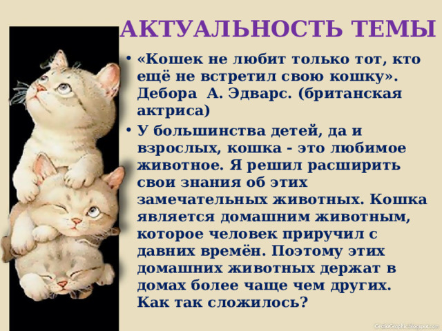 АКТУАЛЬНОСТЬ ТЕМЫ «Кошек не любит только тот, кто ещё не встретил свою кошку». Дебора А. Эдварс. (британская актриса) У большинства детей, да и взрослых, кошка - это любимое животное. Я решил расширить свои знания об этих замечательных животных. Кошка является домашним животным, которое человек приручил с давних времён. Поэтому этих домашних животных держат в домах более чаще чем других. Как так сложилось? 