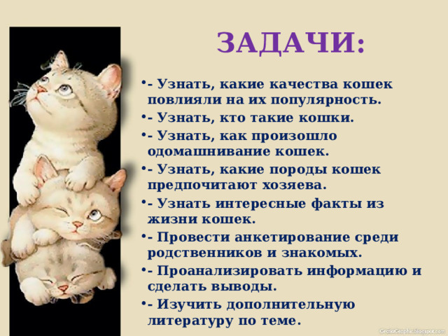  ЗАДАЧИ: - Узнать, какие качества кошек повлияли на их популярность. - Узнать, кто такие кошки. - Узнать, как произошло одомашнивание кошек. - Узнать, какие породы кошек предпочитают хозяева. - Узнать интересные факты из жизни кошек. - Провести анкетирование среди родственников и знакомых. - Проанализировать информацию и сделать выводы. - Изучить дополнительную литературу по теме.  