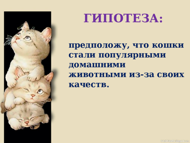  ГИПОТЕЗА: предположу, что кошки стали популярными домашними животными из-за своих качеств. 