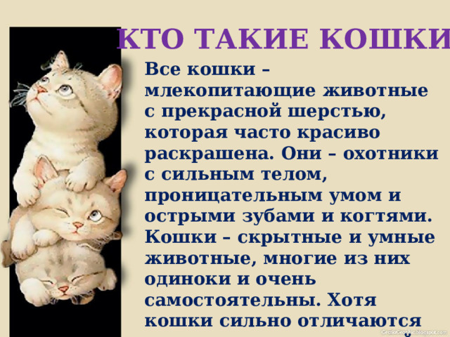 КТО ТАКИЕ КОШКИ? Все кошки – млекопитающие животные с прекрасной шерстью, которая часто красиво раскрашена. Они – охотники с сильным телом, проницательным умом и острыми зубами и когтями. Кошки – скрытные и умные животные, многие из них одиноки и очень самостоятельны. Хотя кошки сильно отличаются по размеру – от домашней до гигантского сибирского тигра, - все они принадлежат к одному семейству кошачьих. 