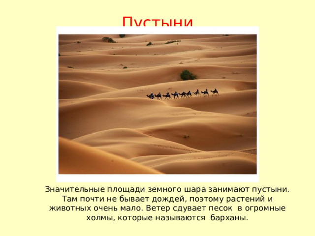 Пустыни Значительные площади земного шара занимают пустыни. Там почти не бывает дождей, поэтому растений и животных очень мало. Ветер сдувает песок в огромные холмы, которые называются барханы. 