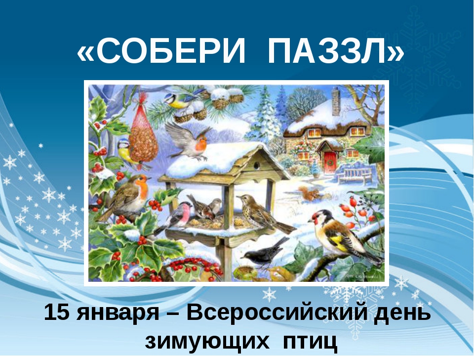 15 января. 15 Января день зимующих птиц. День зимующих птиц России. Всероссийский день зимующих птиц. Плакат 15 января день зимующих птиц.