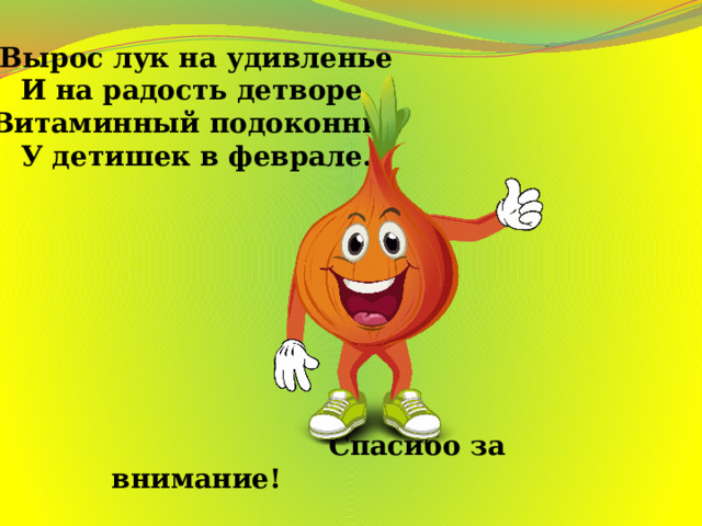     Вырос лук на удивленье  И на радость детворе.  Витаминный подоконник  У детишек в феврале.              Спасибо за внимание! 