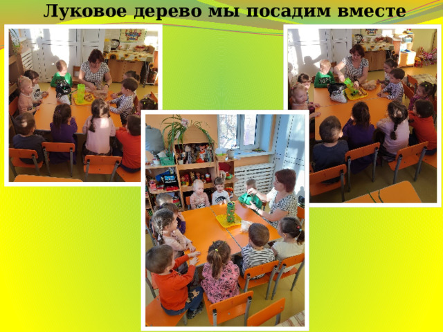 Луковое дерево мы посадим вместе 