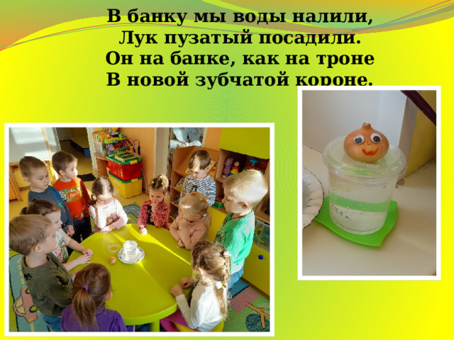 В банку мы воды налили,  Лук пузатый посадили.  Он на банке, как на троне  В новой зубчатой короне. 
