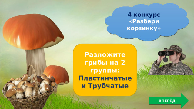 4 конкурс «Разбери корзинку» Разложите грибы на 2 группы: Пластинчатые и Трубчатые ВПЕРЁД 