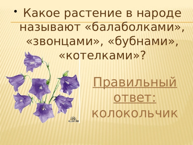 Растение в народе называют прогноз. В народе цветы начинками называют. Цаеток в народе зовут замея.