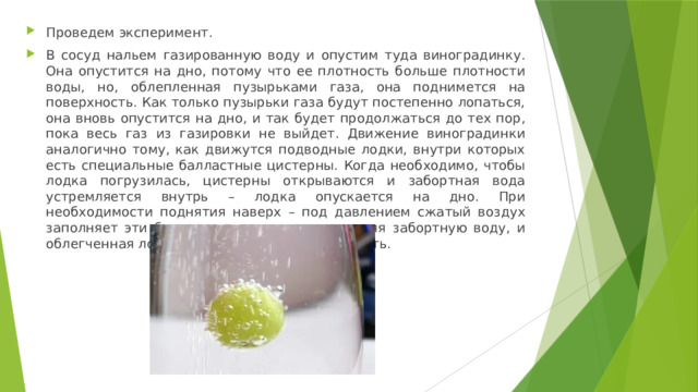 Проведем эксперимент. В сосуд нальем газированную воду и опустим туда виноградинку. Она опустится на дно, потому что ее плотность больше плотности воды, но, облепленная пузырьками газа, она поднимется на поверхность. Как только пузырьки газа будут постепенно лопаться, она вновь опустится на дно, и так будет продолжаться до тех пор, пока весь газ из газировки не выйдет. Движение виноградинки аналогично тому, как движутся подводные лодки, внутри которых есть специальные балластные цистерны. Когда необходимо, чтобы лодка погрузилась, цистерны открываются и забортная вода устремляется внутрь – лодка опускается на дно. При необходимости поднятия наверх – под давлением сжатый воздух заполняет эти балластные цистерны, вытесняя забортную воду, и облегченная лодка поднимается на поверхность. 