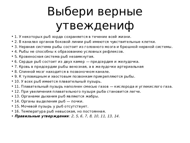 В каком месте находится мочевой пузырь у женщин фото