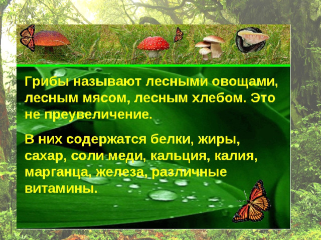 Презентация на тему грибы 5 класс биология