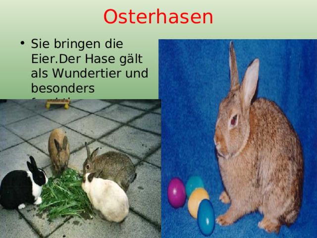 Osterhasen Sie bringen die Eier.Der Hase gält als Wundertier und besonders fruchtbar. 