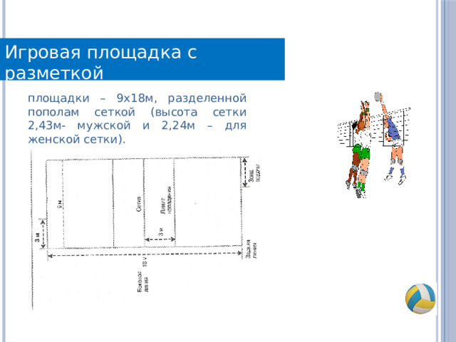 Игровая площадка с разметкой площадки – 9х18м, разделенной пополам сеткой (высота сетки 2,43м- мужской и 2,24м – для женской сетки). 