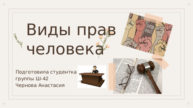 Виды прав человека Подготовила студентка группы Ш-42 Чернова Анастасия 