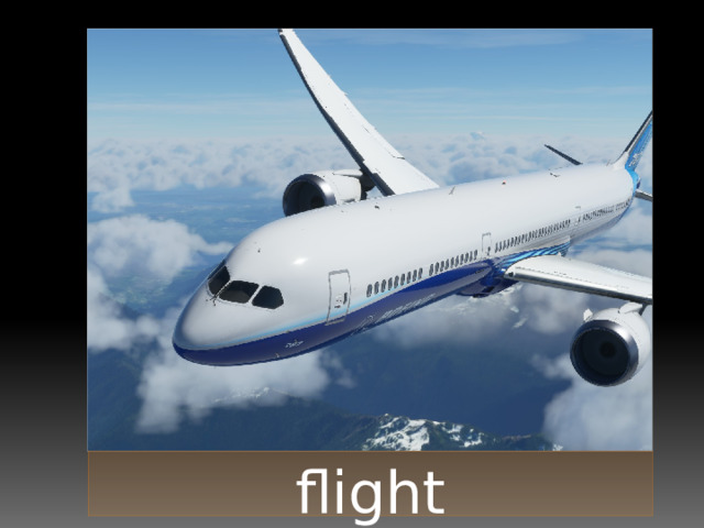 flight 