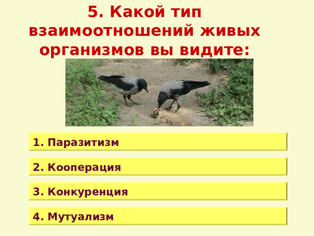 5. Какой тип взаимоотношений живых организмов вы видите: 1. Паразитизм 2. Кооперация 3. Конкуренция 4. Мутуализм 