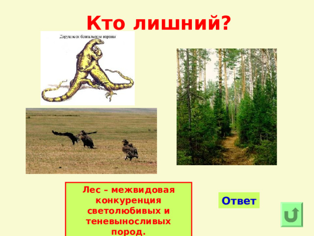 Кто лишний? Лес – межвидовая конкуренция светолюбивых и теневыносливых пород. Ответ 