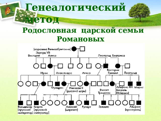 Генеалогический метод Родословная царской семьи Романовых  