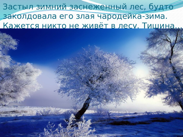 Застыл зимний заснеженный лес, будто заколдовала его злая чародейка-зима. Кажется никто не живёт в лесу. Тишина… 