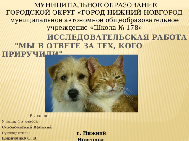  МУНИЦИПАЛЬНОЕ ОБРАЗОВАНИЕ ГОРОДСКОЙ ОКРУГ «ГОРОД НИЖНИЙ НОВГОРОД муниципальное автономное общеобразовательное учреждение «Школа № 178»  Исследовательская работа  