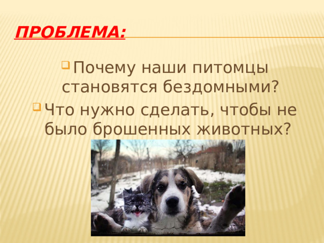 Проблема: Почему наши питомцы становятся бездомными? Что нужно сделать, чтобы не было брошенных животных?  